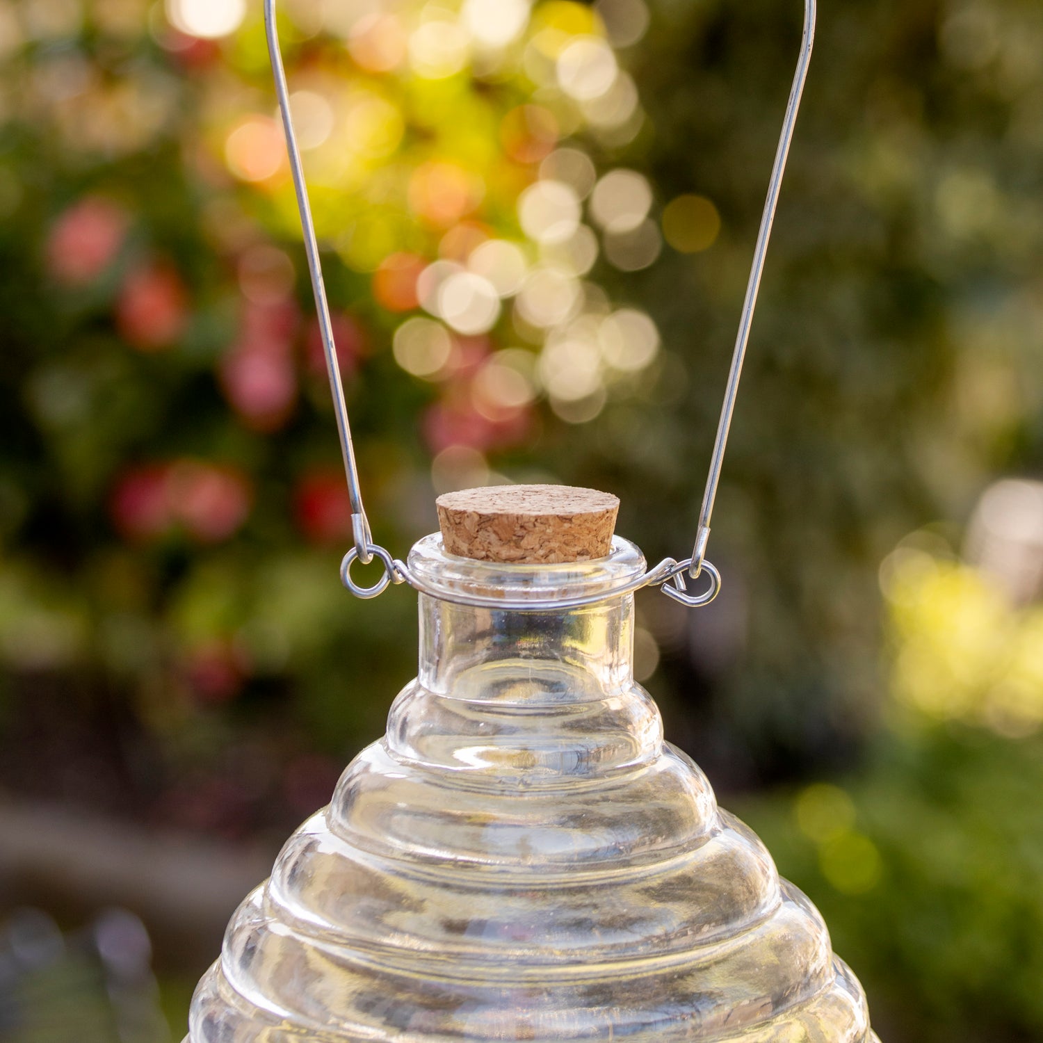 Clear Ribbed Glass Wasp Trap