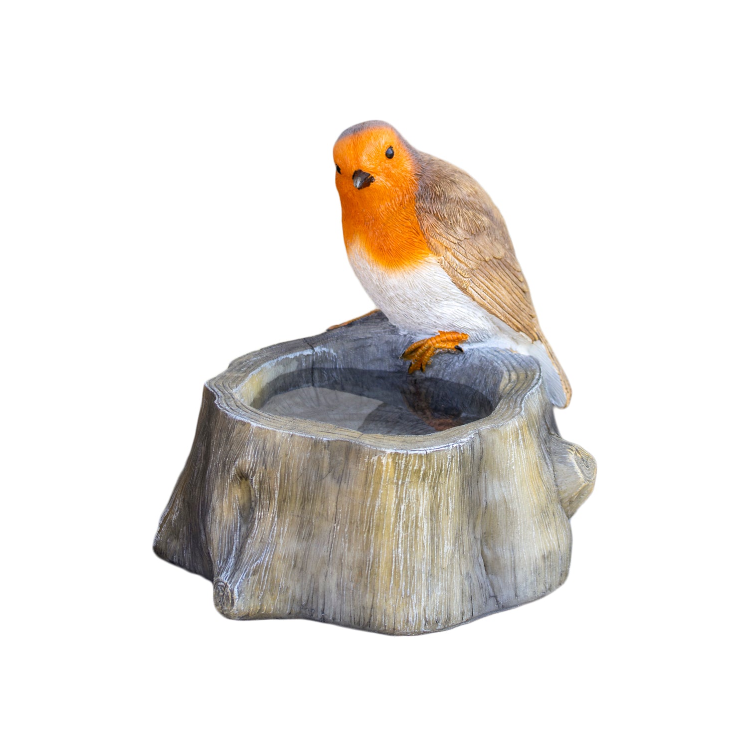 Robin On Stump Bird Bath