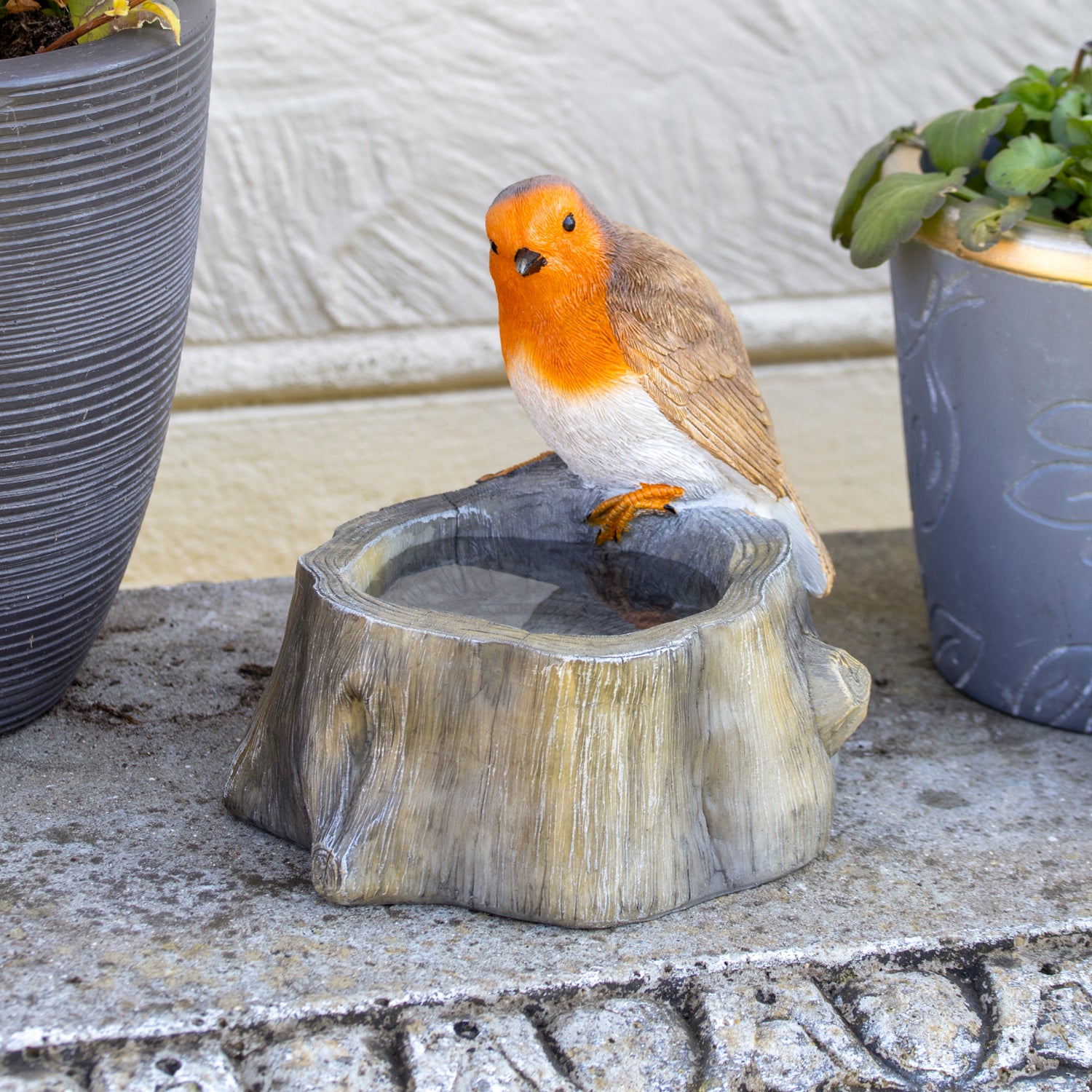 Robin On Stump Bird Bath
