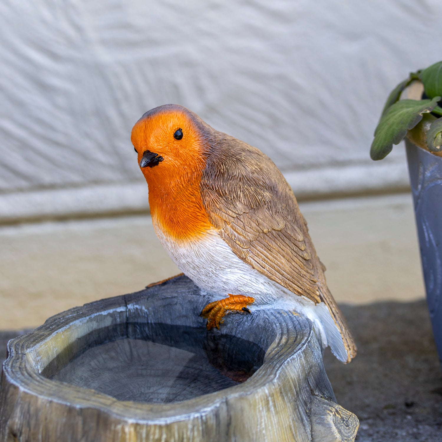 Robin On Stump Bird Bath