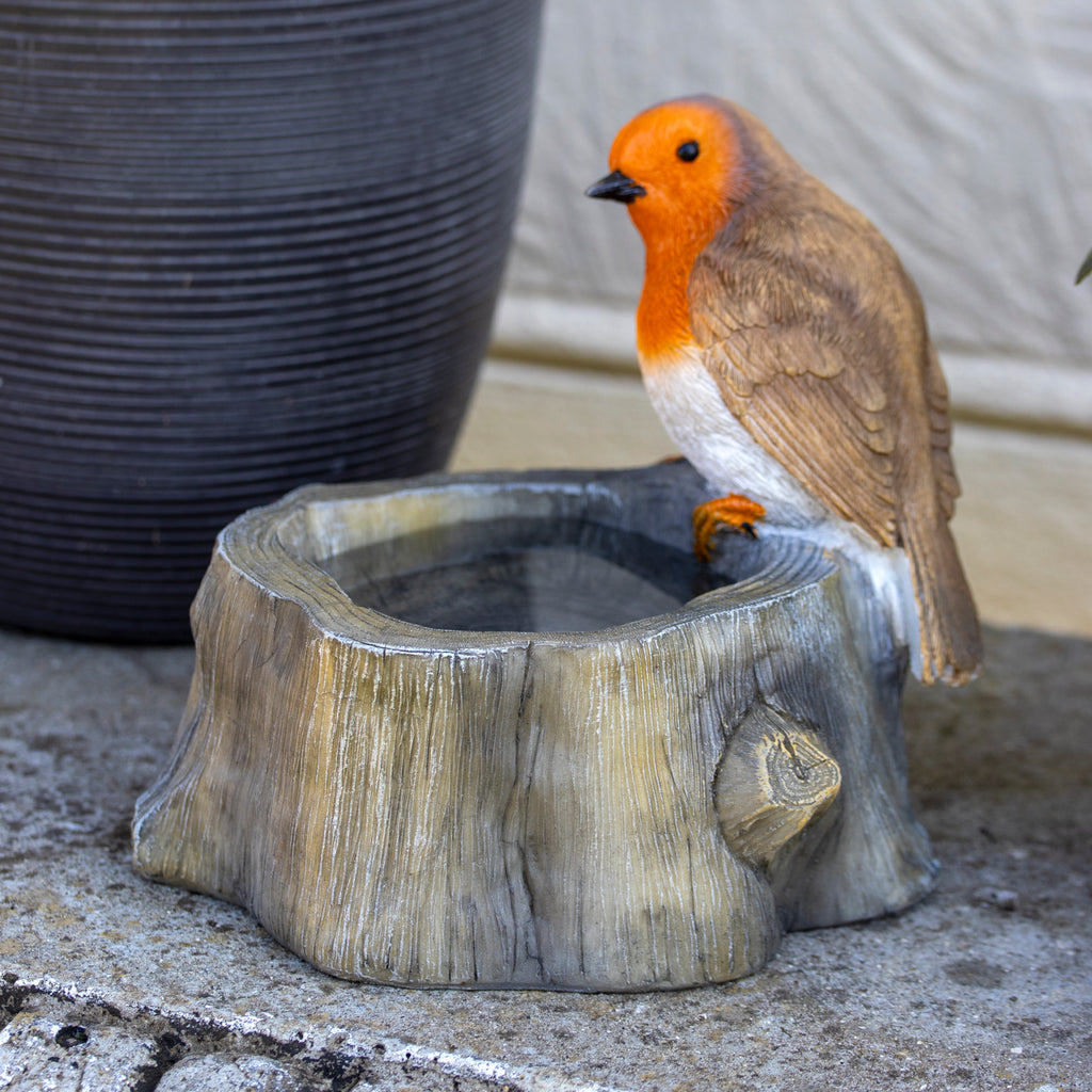 Robin On Stump Bird Bath
