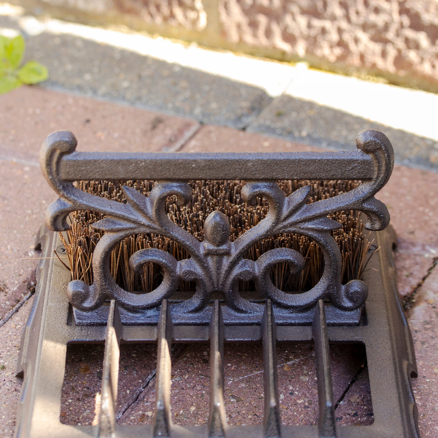 Cast Iron Boot Brush & Scraper