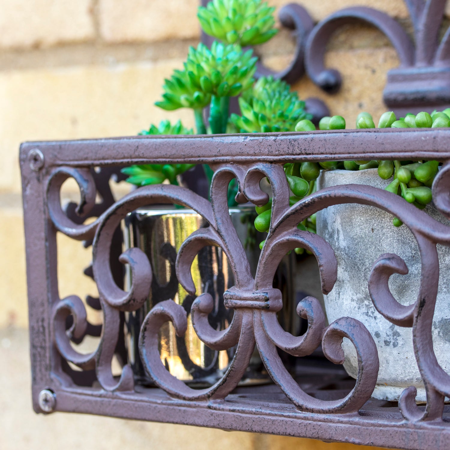 Cast Iron Scroll Round Window Frame Wall Planter