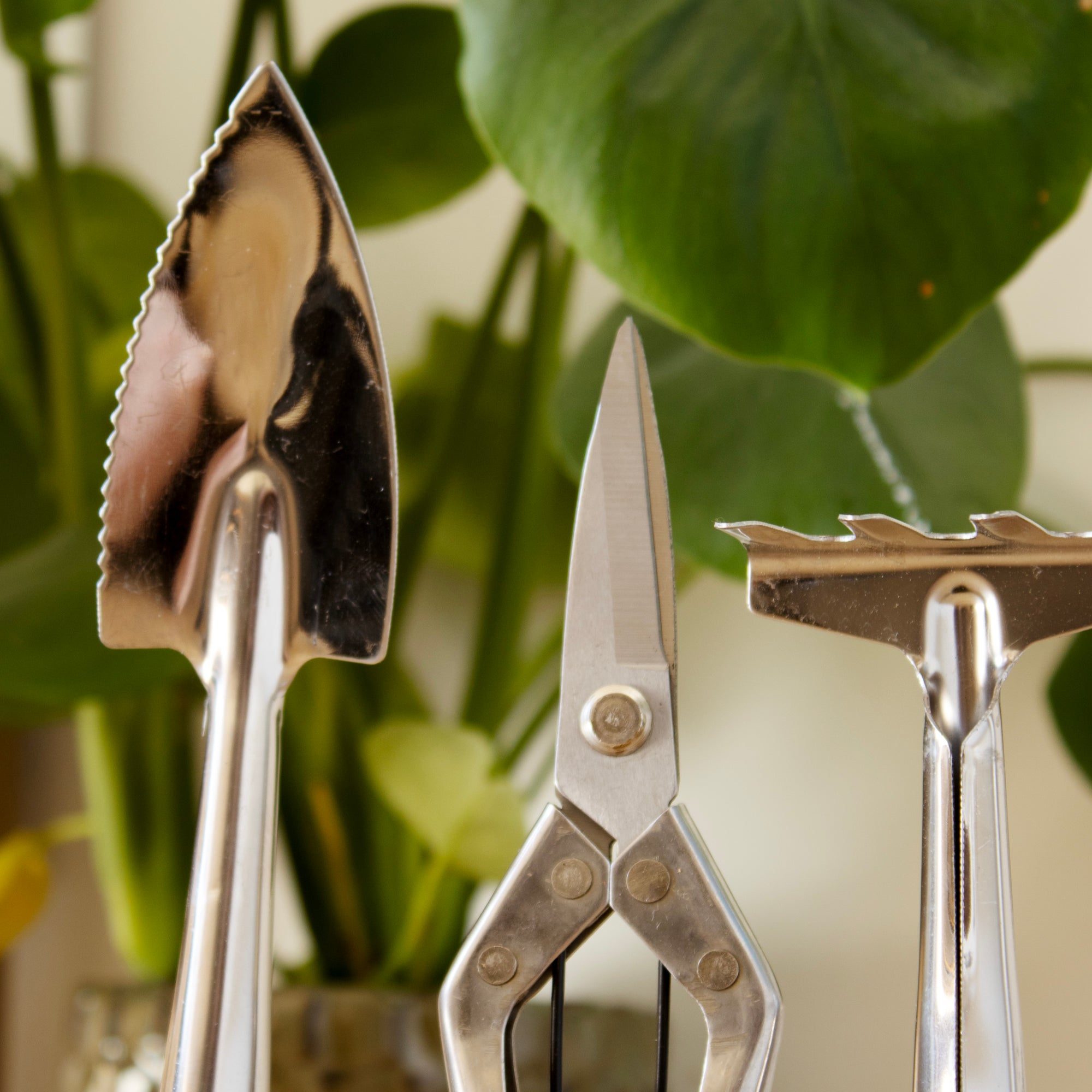Indoor Garden Tools Set With Wooden Holder