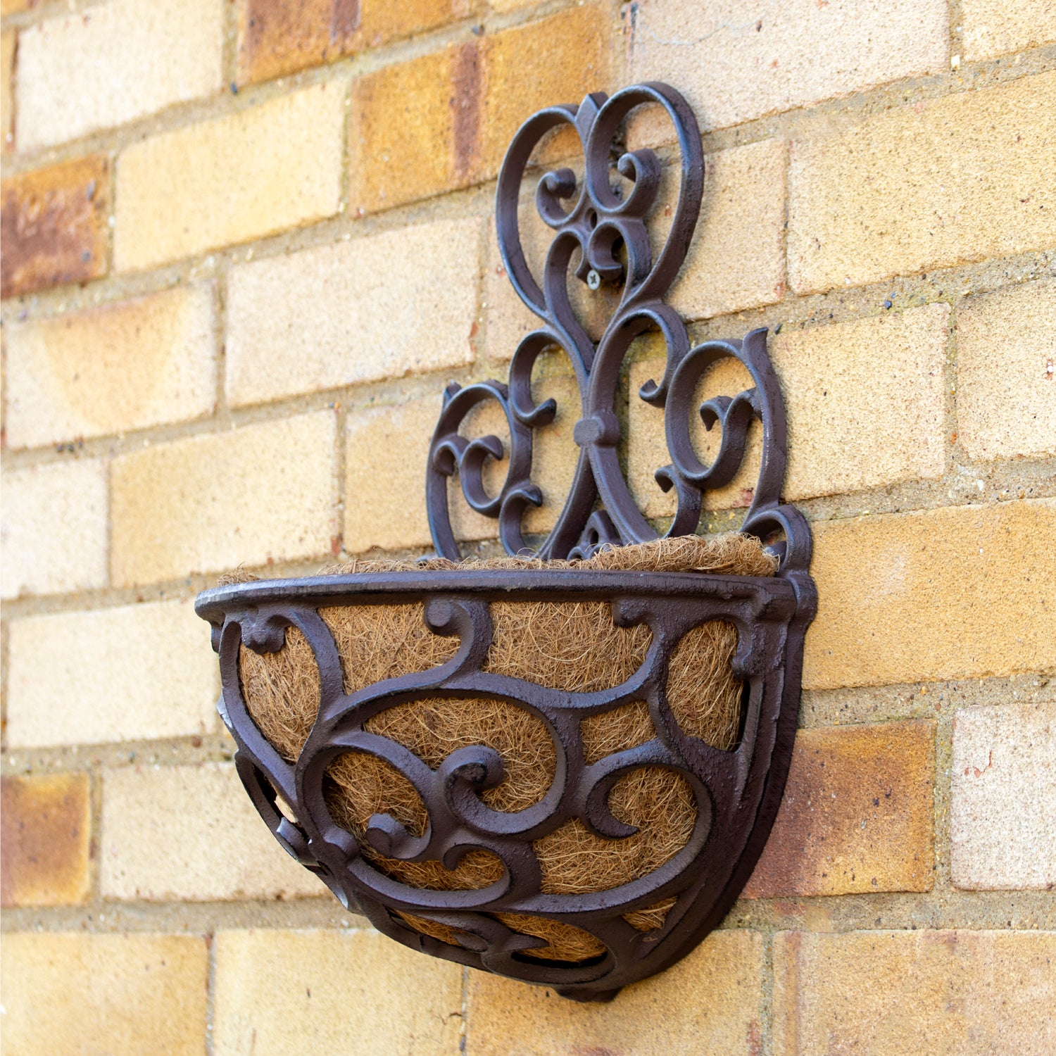 Cast Iron Hayrack Wall Planter With Scroll Back Plate