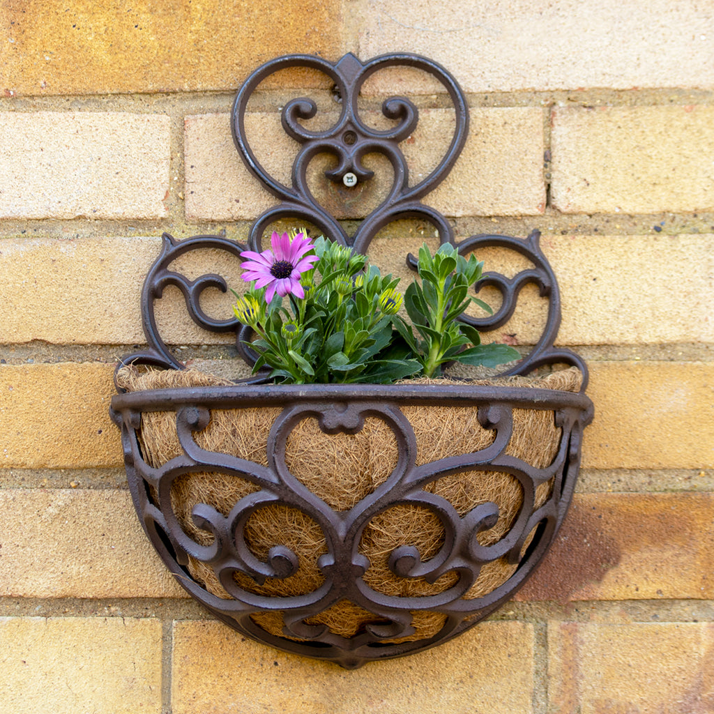 Cast Iron Hayrack Wall Planter With Scroll Back Plate