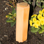 Large Terracotta Plant Watering Spike