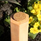 Large Terracotta Plant Watering Spike