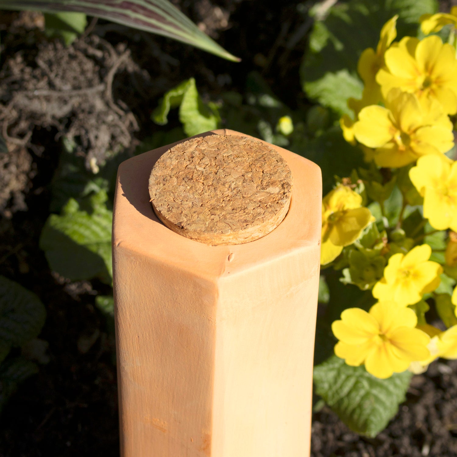 Large Terracotta Plant Watering Spike