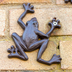 Set Of 2 Cast Iron Frog Wall Decorations