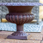 Cast Iron Wide French Urn Planter