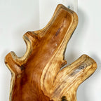 Teak Root Tall Leaf Bowl 50cm