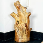 Teak Root Tall Leaf Bowl 50cm