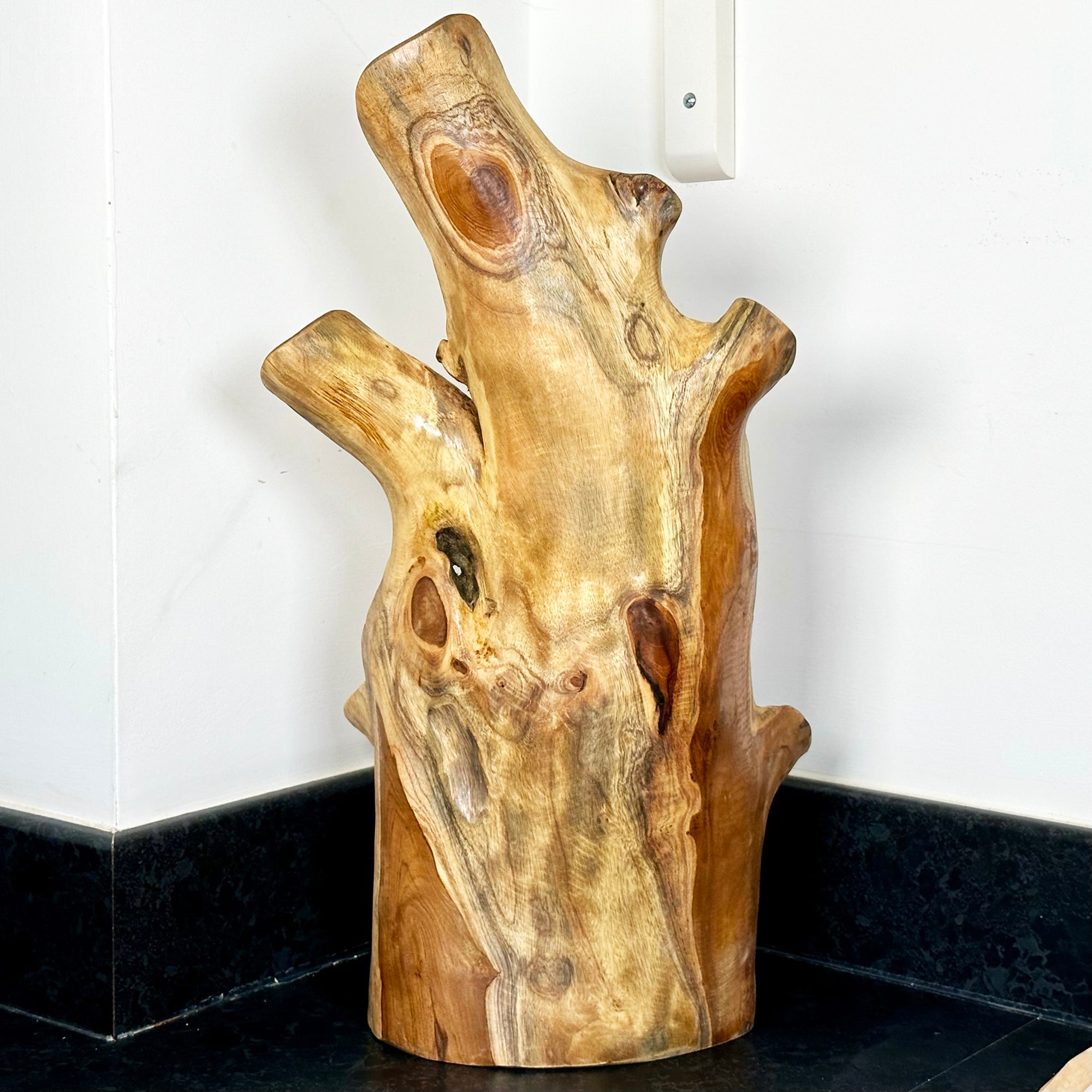 Teak Root Tall Leaf Bowl 50cm