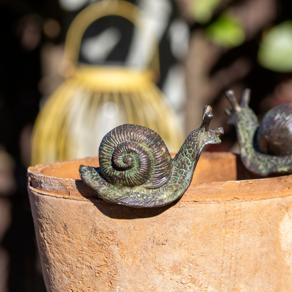Set Of 2 Snail Pot Hangers