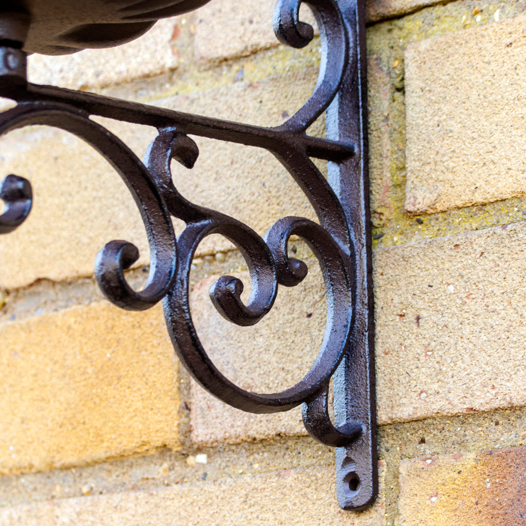 Cast Iron Oval Wall Bird Feeder & Hanging Basket Bracket