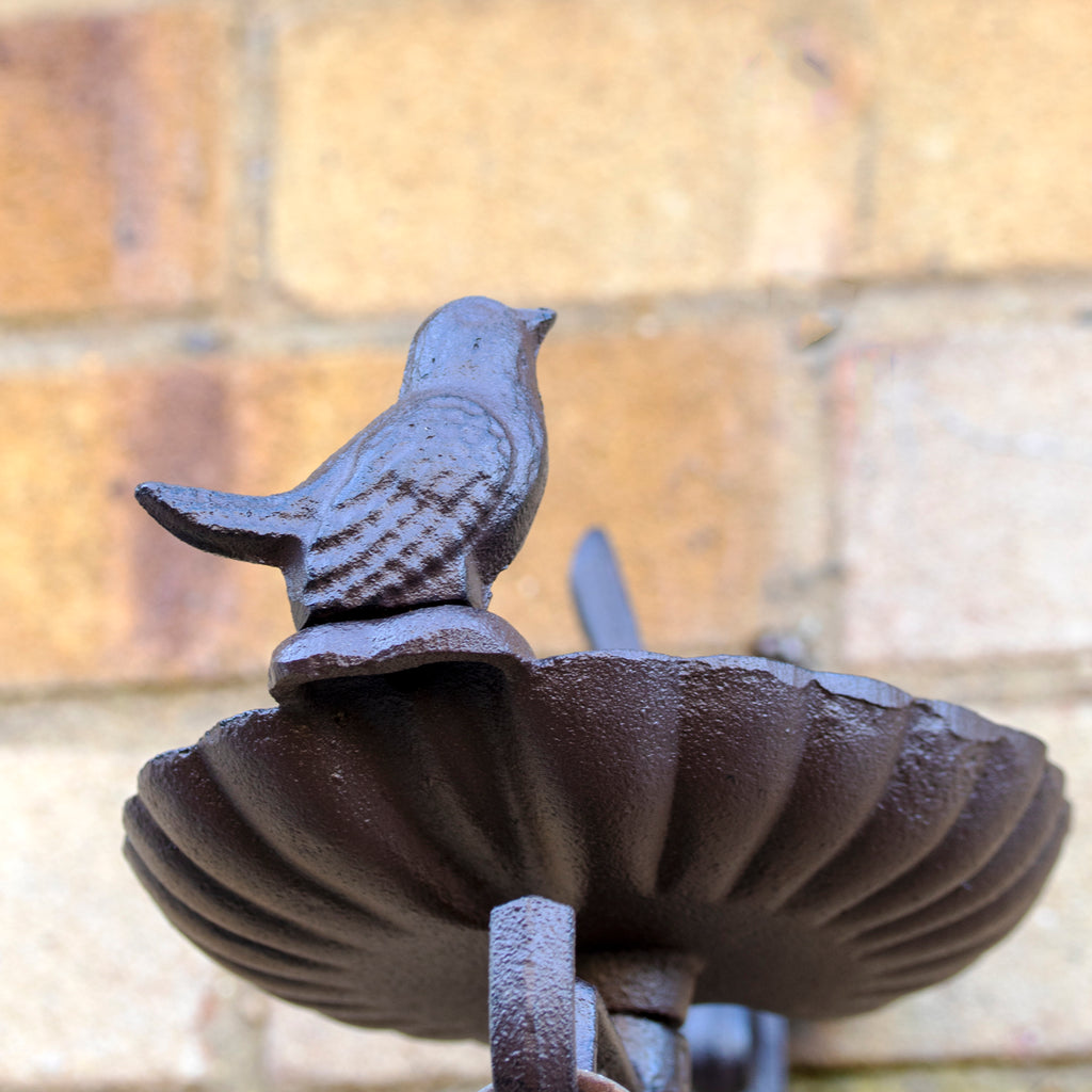 Cast Iron Oval Wall Bird Feeder & Hanging Basket Bracket
