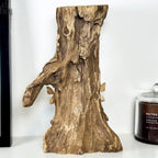 Teak Root Beehive Sculpture