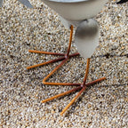 Metal Rooster Planter