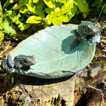 Frogs On Leaf Bird Feeder