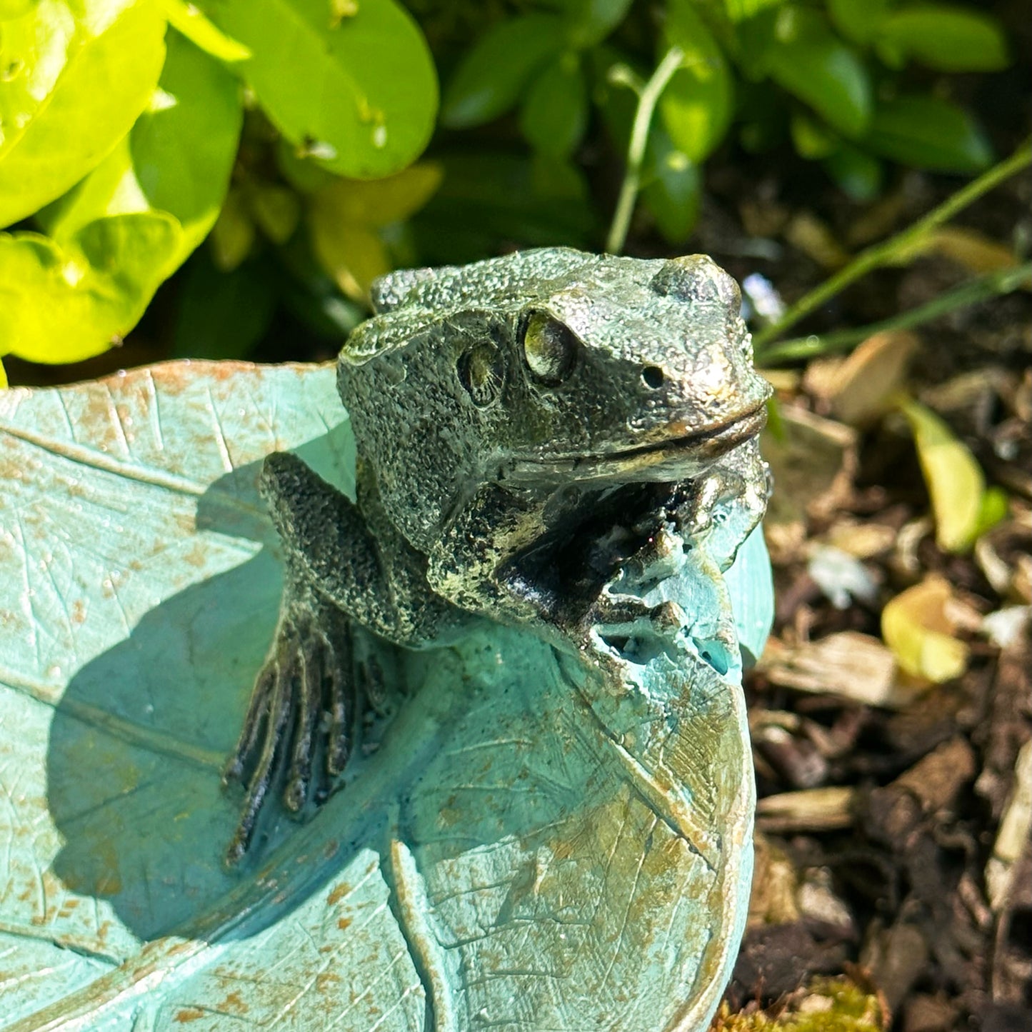 Frogs On Leaf Bird Feeder