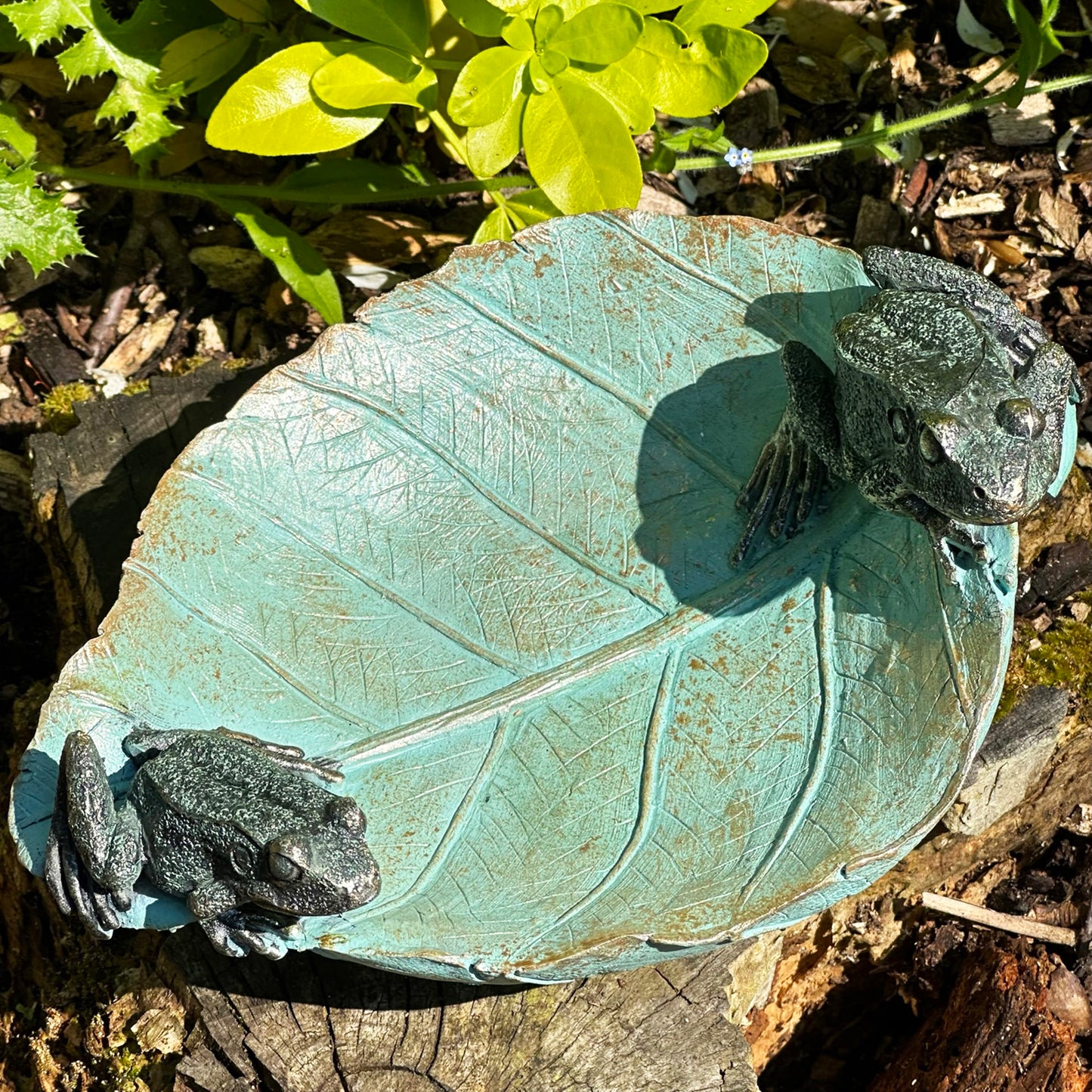 Frogs On Leaf Bird Feeder