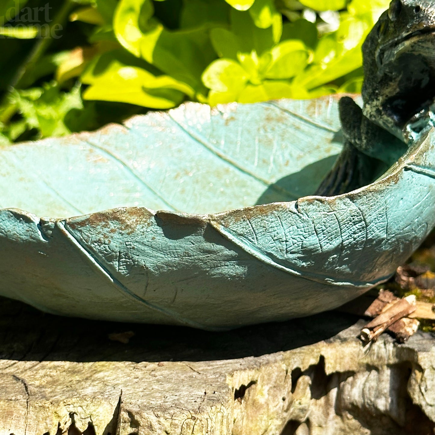 Frogs On Leaf Bird Feeder