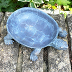 Bronze Tortoise Bird Bath