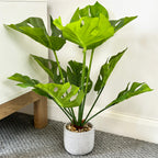 Artificial Monstera Swiss Cheese Plant