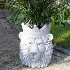 Majestic Lion Head Planter