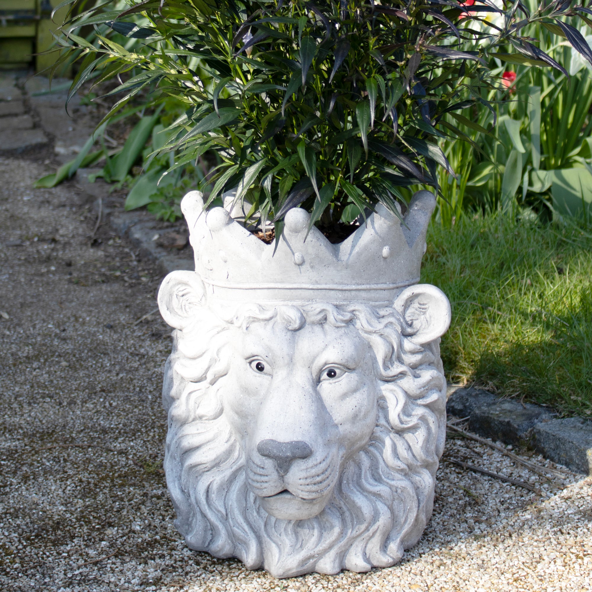 Majestic Lion Head Planter