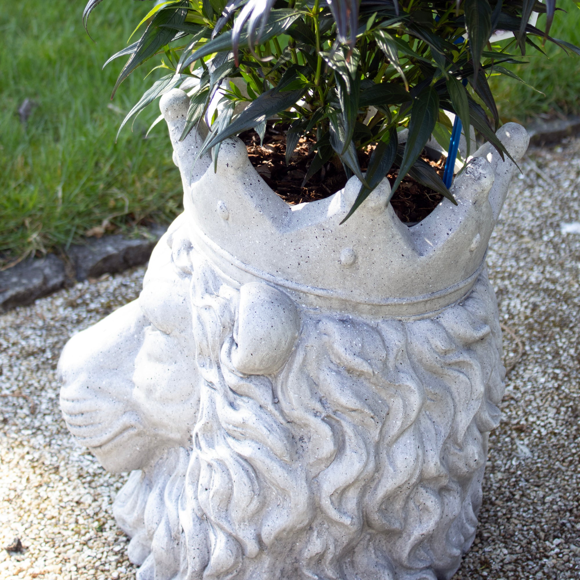 Majestic Lion Head Planter