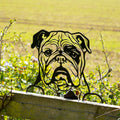 Black Metal Peeking English Bulldog Fence Topper