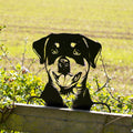 Black Metal Rottweiler Peeking Fence Topper