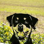 Black Metal Rottweiler Peeking Fence Topper