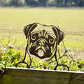 Black Metal Peeking Pug Fence Topper