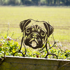 Black Metal Peeking Pug Fence Topper