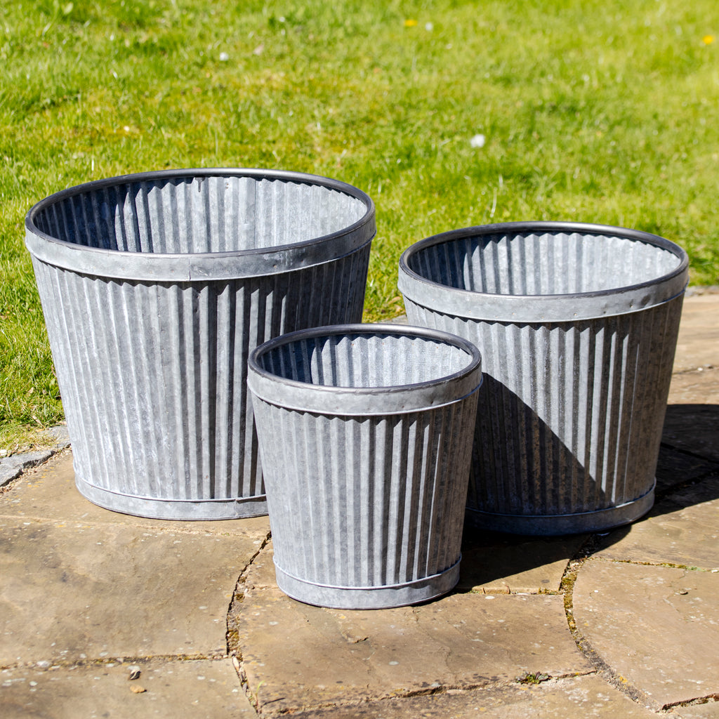 Set mit 3 verzinkten Dolly Tub-Pflanzgefäßen