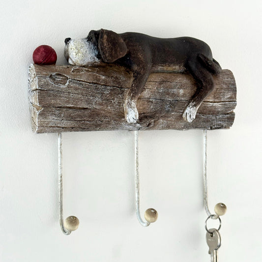 Sleeping Puppy Triple Wall Hooks