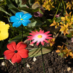 Set Of 12 Metal Wildflower Stakes B