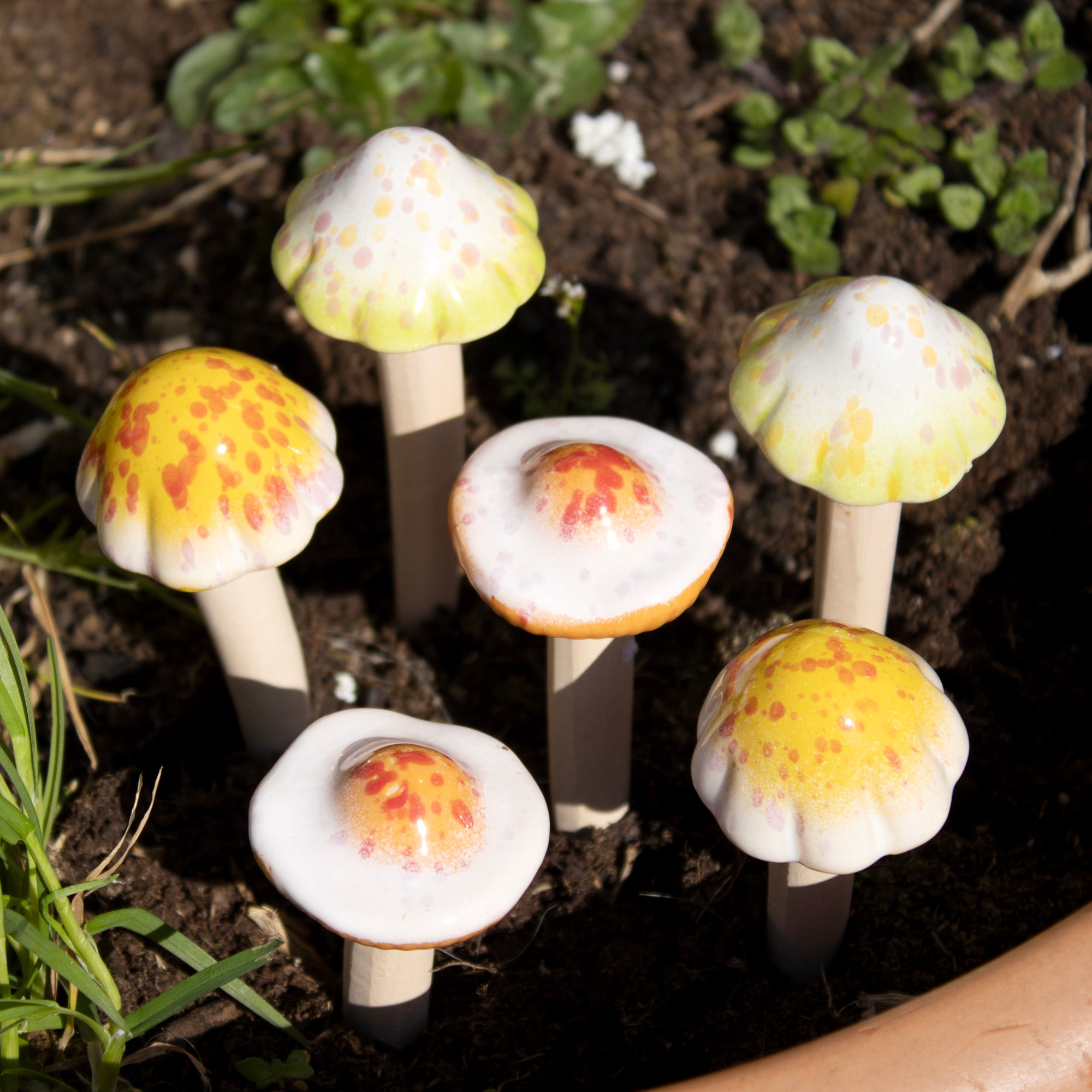 Set Of 6 Ceramic Toadstool Stakes
