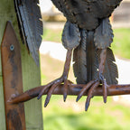 Metal Owl Wall Decoration