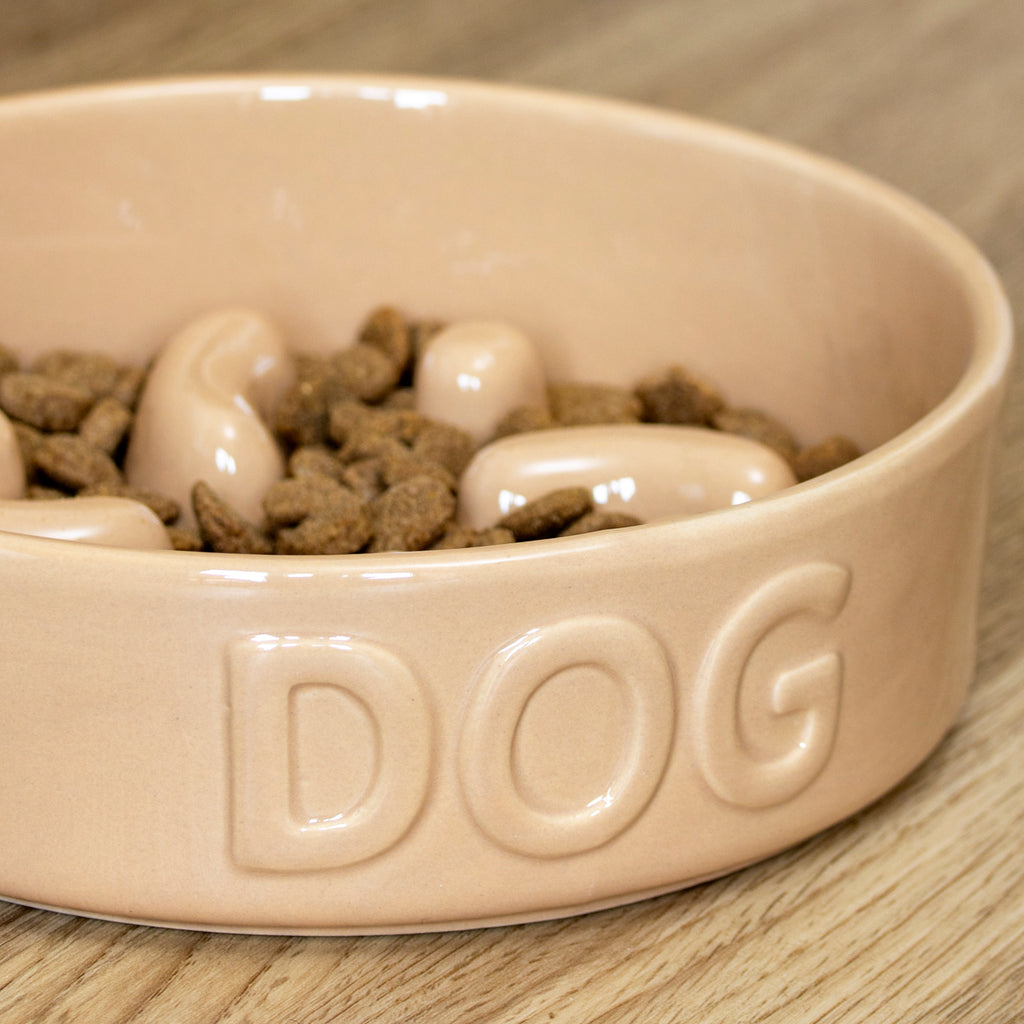 Large Stoneware Slow Feeder Dog Bowl