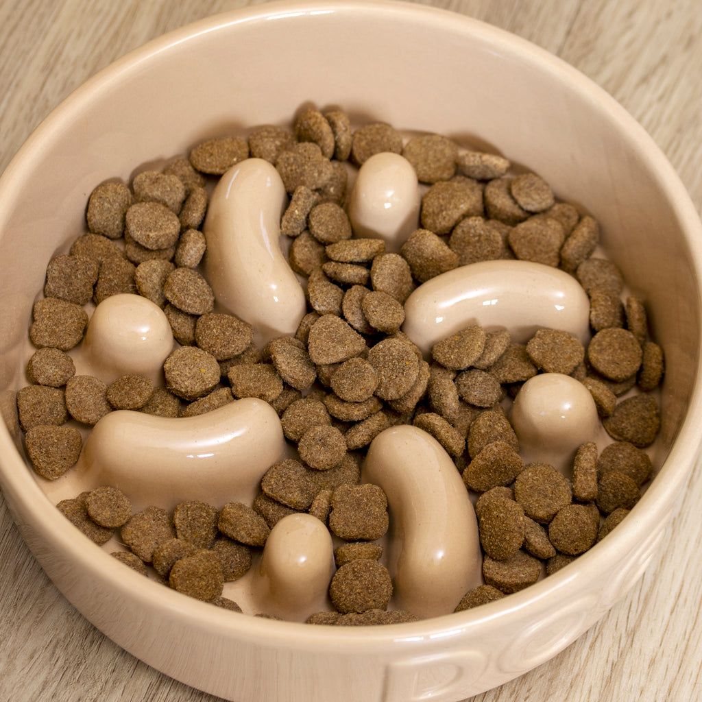 Large Stoneware Slow Feeder Dog Bowl