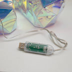 Teddy Bear Interactive USB LED Light
