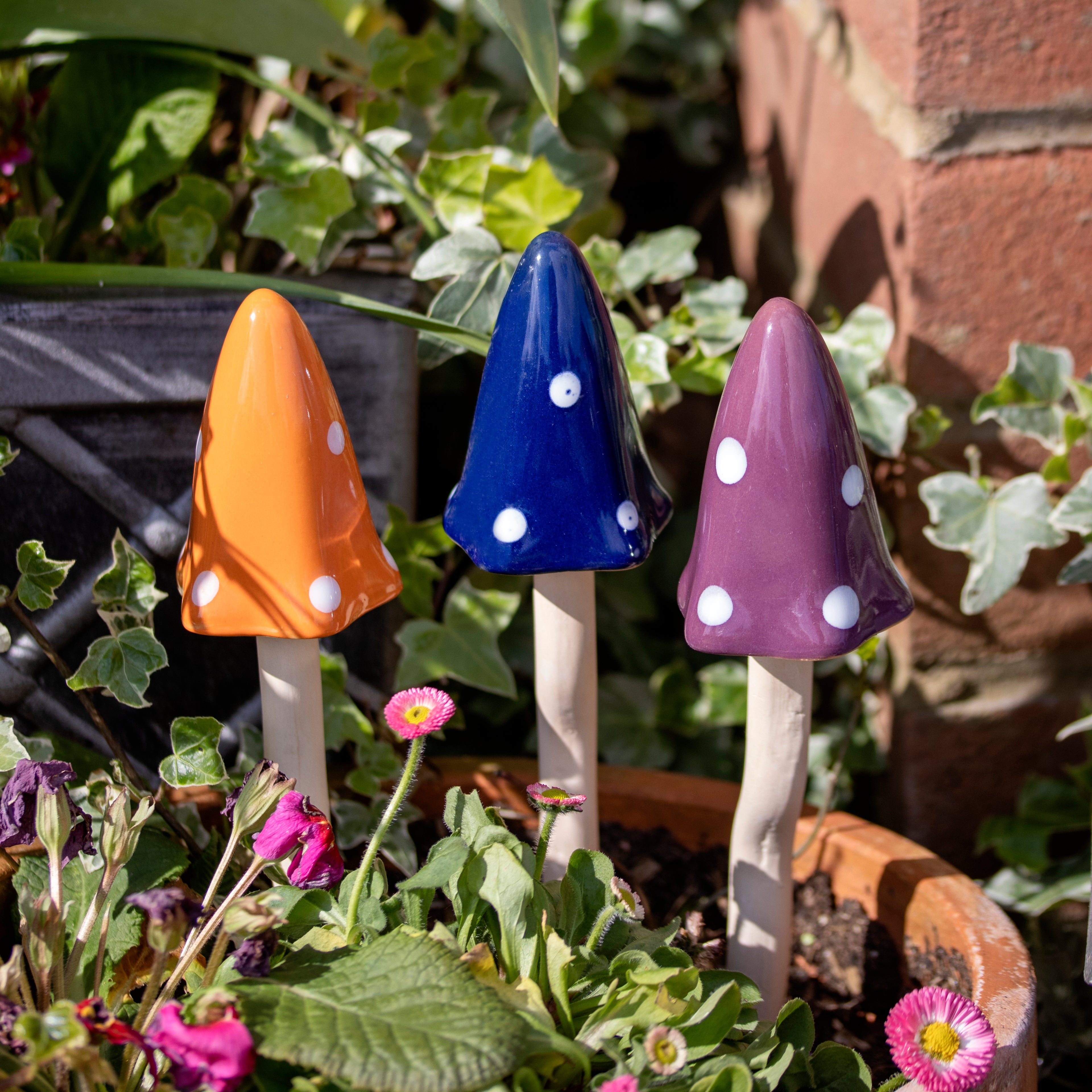 Set Of 3 Ceramic Polka Dot Toadstool Stakes