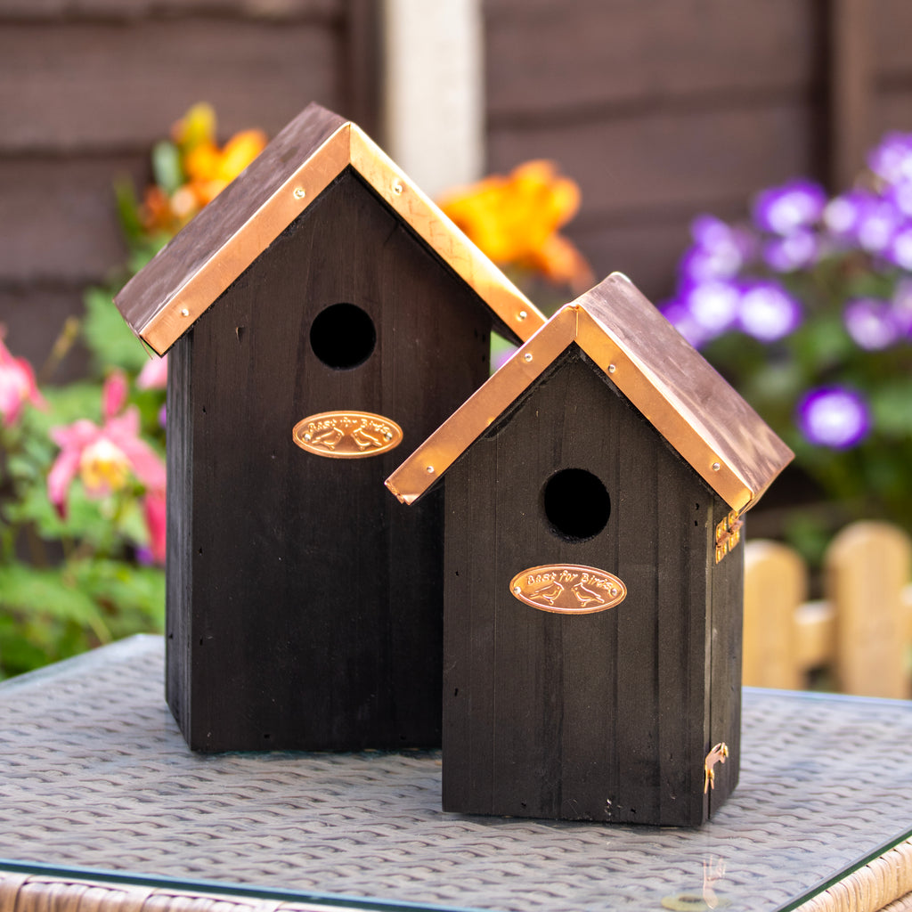Black Copper Wren Bird House