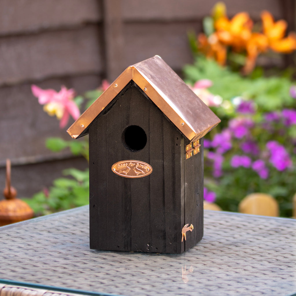 Black Copper Wren Bird House