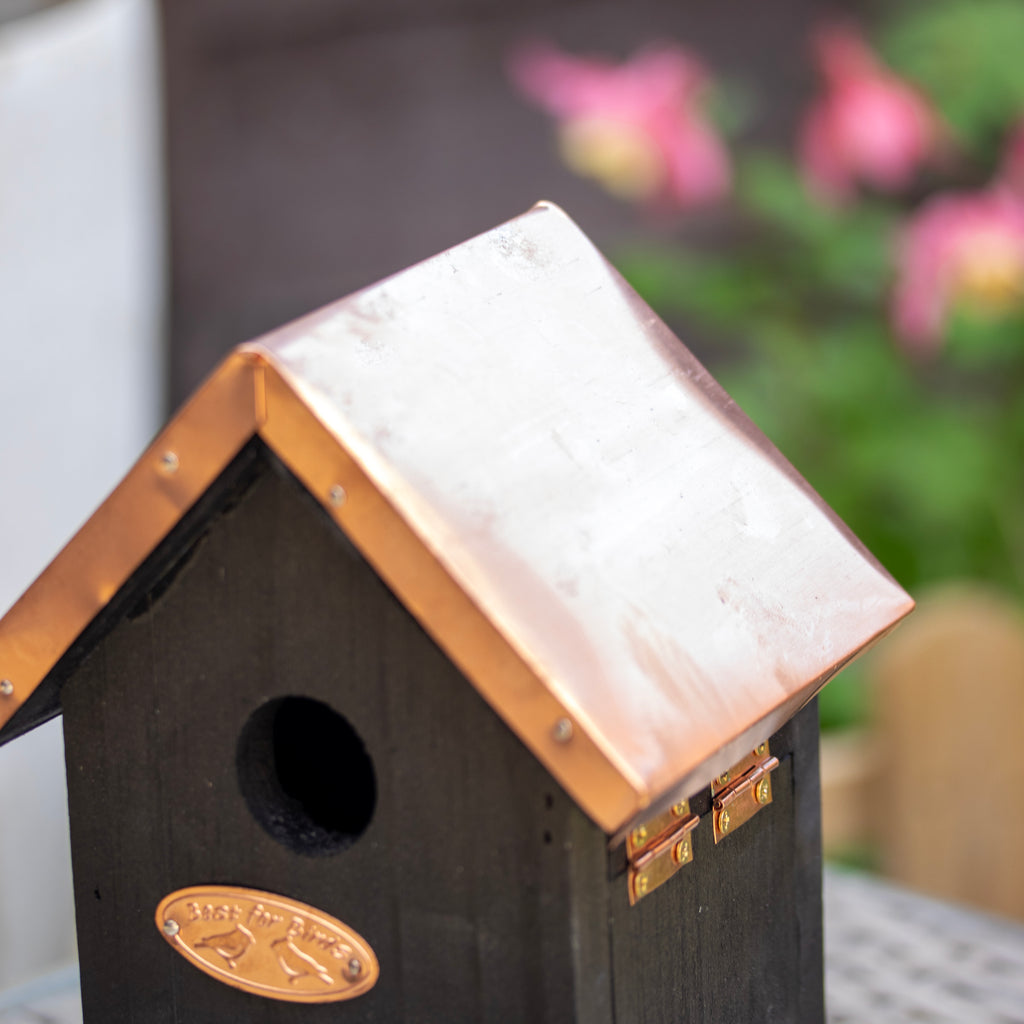 Black Copper Wren Bird House