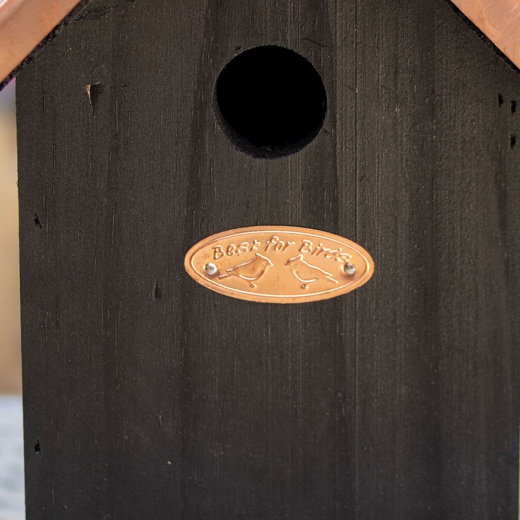 Black Copper Blue Tit Bird House